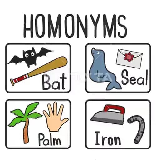 Homonymum