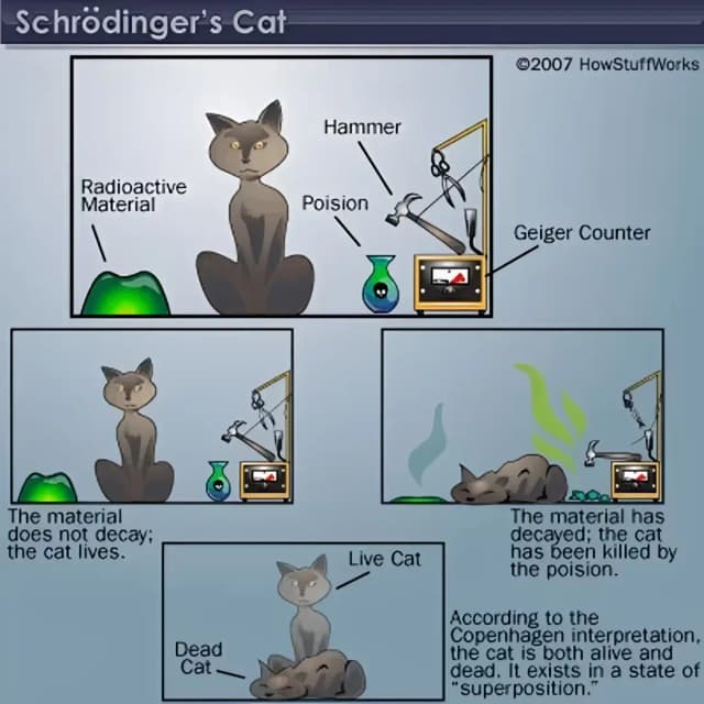 Schrödingerova mačka